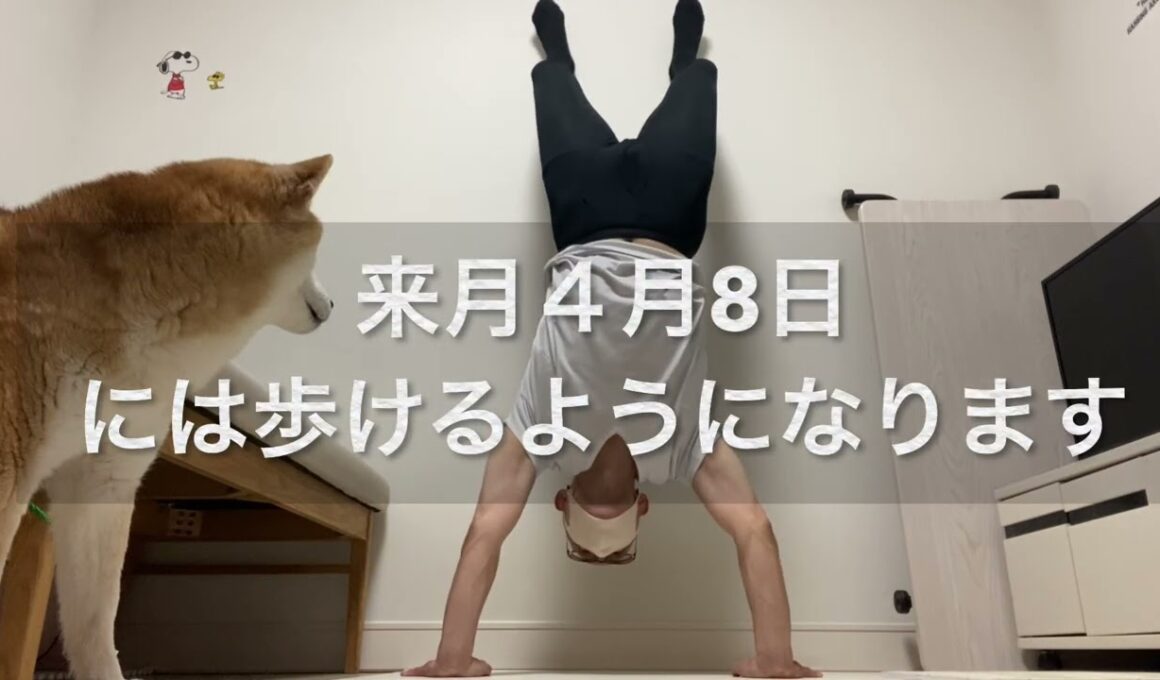 【孤独の56歳】チャットGPTに聞いたら56歳でも逆立ち歩きできると言われたからその通りやってみる！
