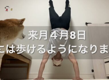 【孤独の56歳】チャットGPTに聞いたら56歳でも逆立ち歩きできると言われたからその通りやってみる！