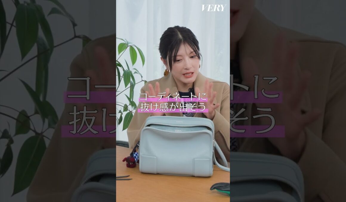 【一生物バッグ】モデル佐藤ありさ＆人気スタイリスト＆VERY編集長が選ぶロエベ