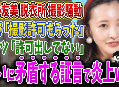 【炎上】板野友美さん、リッツカールトンから擁護の発表があるのに続く炎上...ネット民の攻撃が全然止まらない事態に・・・【板野友美】【実話】【2ch】