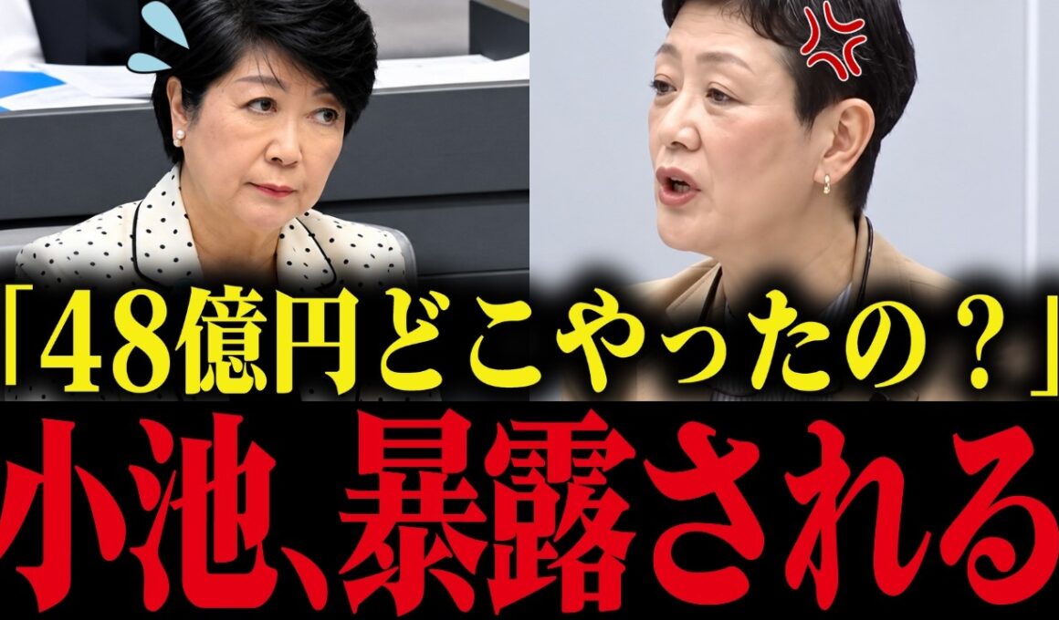 【小池百合子】議会でプロジェクションマッピング48億円を独断で決定している事を暴露！とんでもない事態に...【小池百合子 小池都知事 都議会 カイロ大学 学歴詐称疑惑】