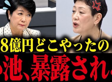 【小池百合子】議会でプロジェクションマッピング48億円を独断で決定している事を暴露！とんでもない事態に...【小池百合子 小池都知事 都議会 カイロ大学 学歴詐称疑惑】