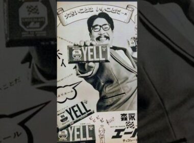 森なエールチョコレート公告　山本直純