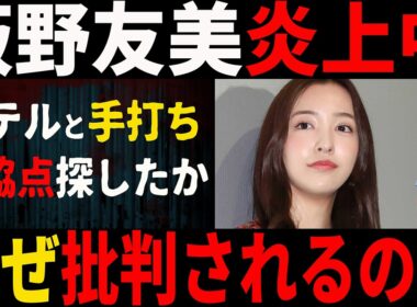 【ジジイ時事】ホテル撮影騒動の板野友美が批判される理由