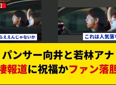 【賛否】パンサー向井慧とTBS若林有子アナに極秘同棲報道！共演から発展か…ファンの反応は？