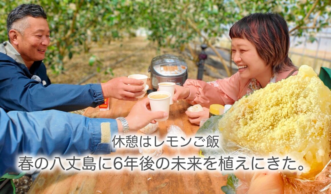 満開！レモンの花咲く春の八丈島へ！西浜農園が挑む6年がかりの挿し木体験＆絶品レモンご飯【ロシアン佐藤】【OTEOTO】