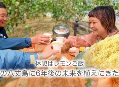 満開！レモンの花咲く春の八丈島へ！西浜農園が挑む6年がかりの挿し木体験＆絶品レモンご飯【ロシアン佐藤】【OTEOTO】