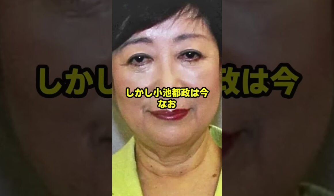 片山さつきが小池百合子のアホ政策を公開処刑→小池震え上がり話題にw #小池都知事 #さとうさおり #政治ニュース #都議会 #カイロ大学】