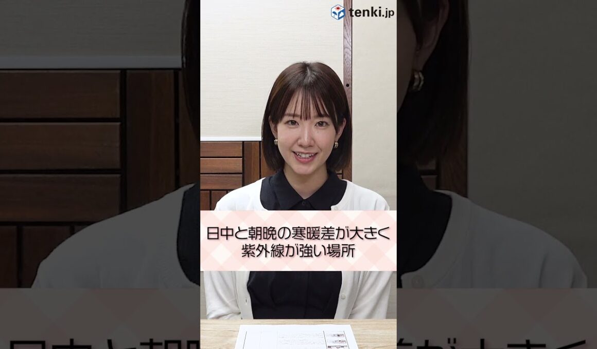 【夏の服装】寒暖差が大きく紫外線が強い場所でのおすすめコーディネートは？