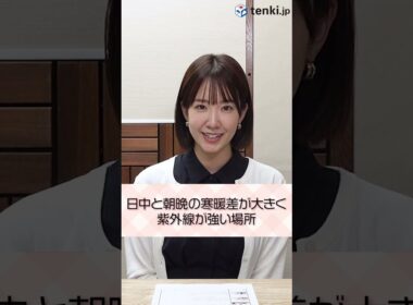 【夏の服装】寒暖差が大きく紫外線が強い場所でのおすすめコーディネートは？