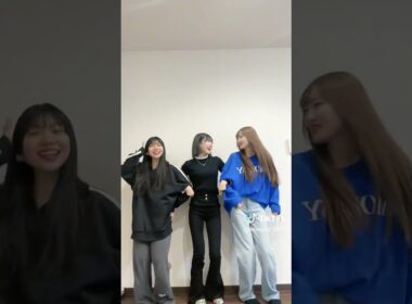 最後のやつ何？😆#short #shorts #みなみチャンネル #みなみちゃん #tiktok