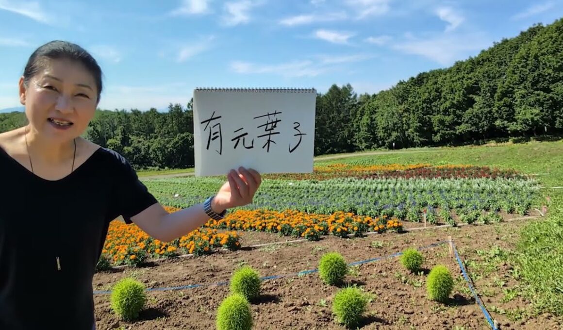 朗読人330　有元葉子「今さら聞けない料理のこつ」水野晶子【ここテレ】330