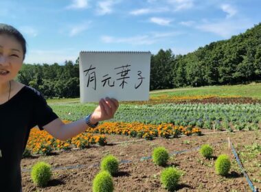 朗読人330　有元葉子「今さら聞けない料理のこつ」水野晶子【ここテレ】330