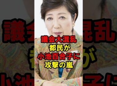 議会大混乱　都民が小池百合子に攻撃の嵐