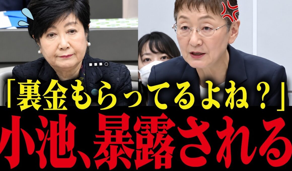 【小池百合子】※小池、都議会で不正を暴露され大慌て...【小池都知事 さとうさおり 都議会 カイロ大学 学歴詐称疑惑】