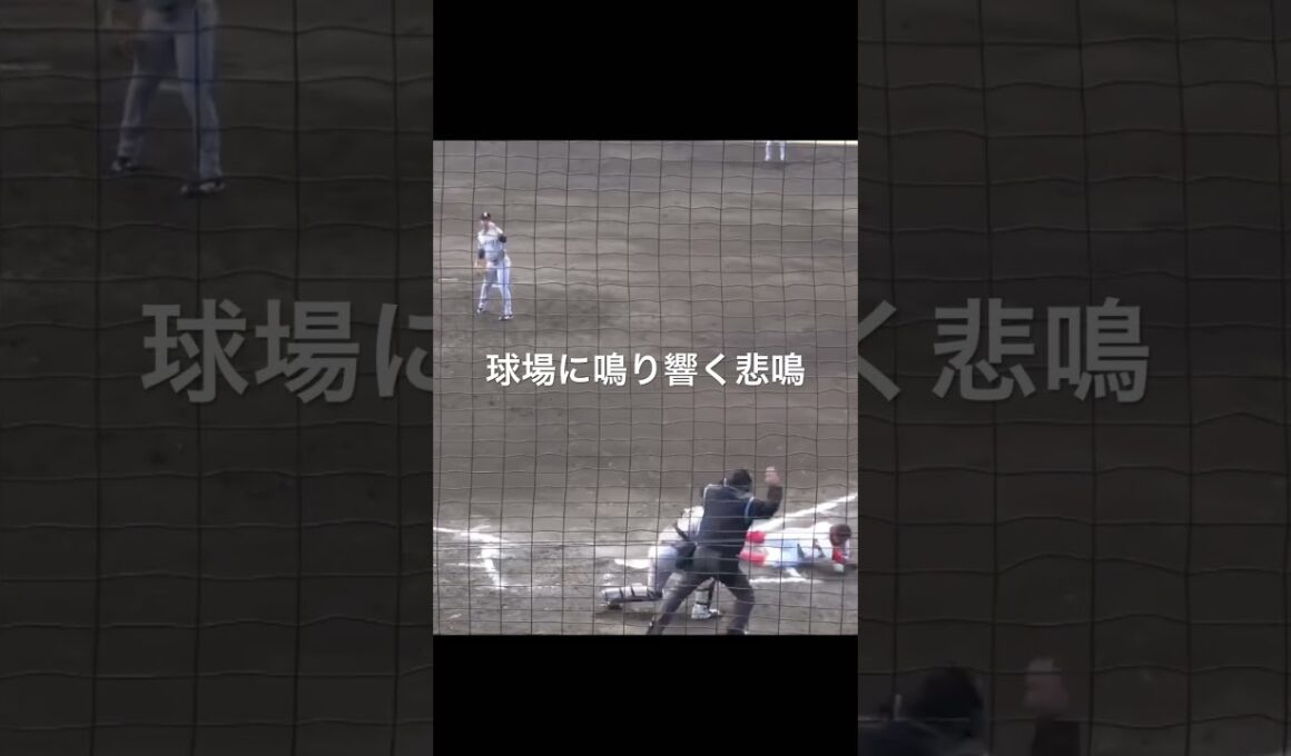 悲鳴！広島・羽月隆太郎　頭部死球で交代…    2軍練習試合　巨人vs広島　#巨人 #読売ジャイアンツ #広島  #広島カープ #プロ野球