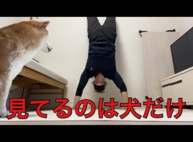 【孤独の56歳】【逆立ち10〜12日目】まだ歩けない。でも、何かが変わった8分間