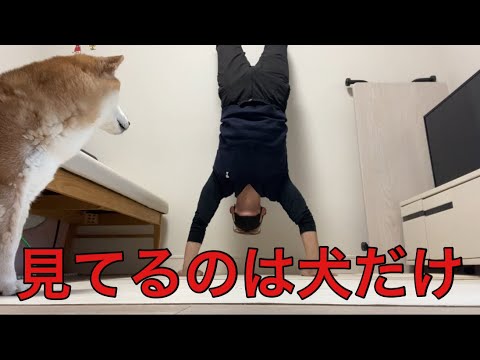 【孤独の56歳】【逆立ち10〜12日目】まだ歩けない。でも、何かが変わった8分間