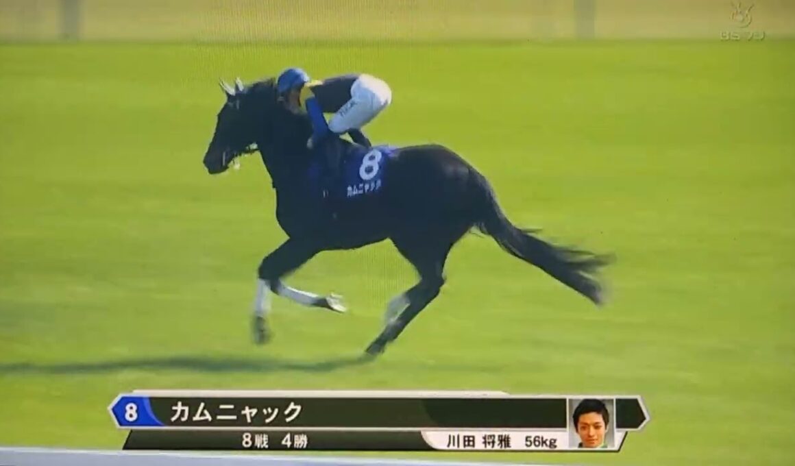 2026ヴィクトリアマイル　本馬場入場(竹俣アナver)
