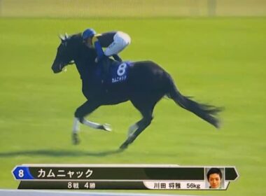 2026ヴィクトリアマイル　本馬場入場(竹俣アナver)