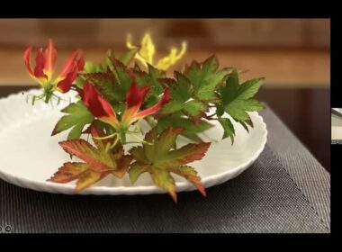 Reflections on Mindful Leadership | With Kyoko Uchida