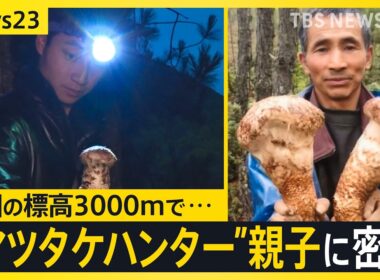 【秋の味覚の王様】中国の標高3000mで「巨大マツタケ」を発見…一攫千金を狙う“親子ハンター”に密着…父の背中追う息子は「マツタケ王になりたい」【news23】｜TBS NEWS DIG