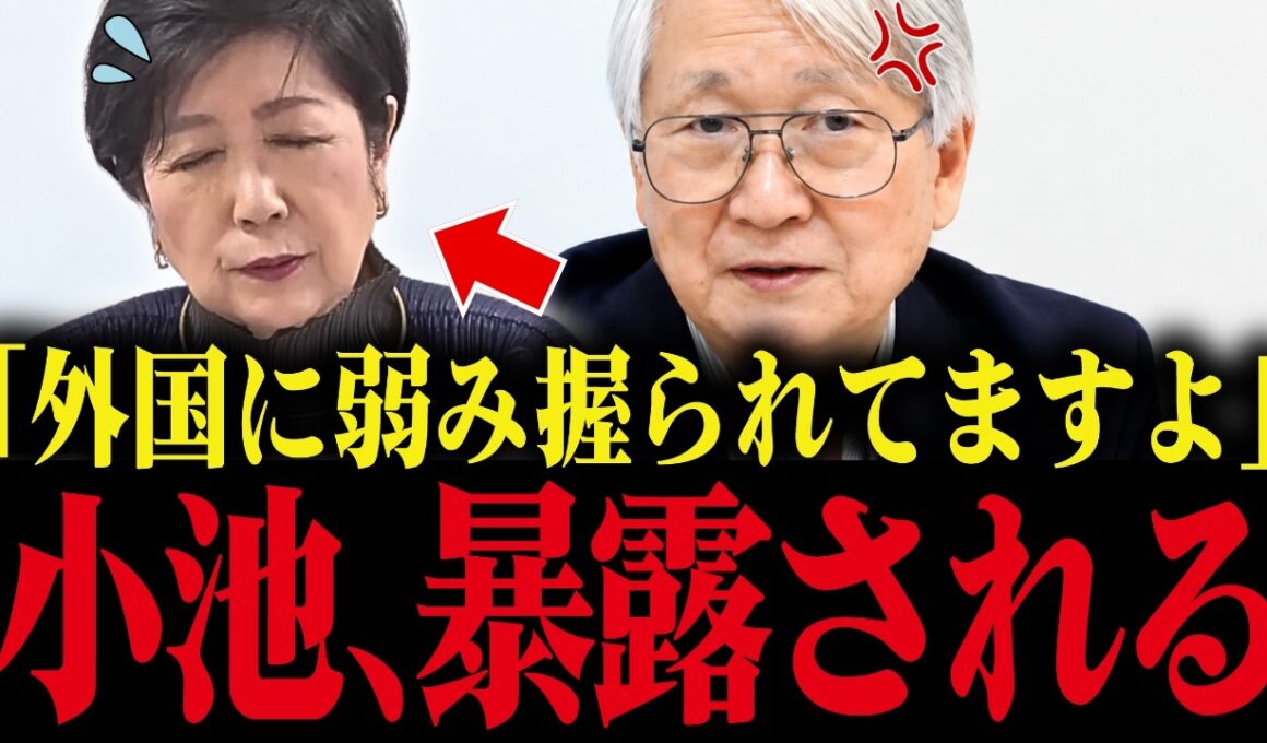 【小池百合子】小池、元側近に不正を全て暴露され大慌て...【小池都知事 さとうさおり 都議会 カイロ大学 学歴詐称疑惑】