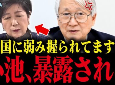 【小池百合子】小池、元側近に不正を全て暴露され大慌て...【小池都知事 さとうさおり 都議会 カイロ大学 学歴詐称疑惑】