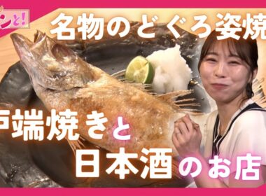 【京都新店】路地奥に佇む和食居酒屋「酒と炉端 SuSuCoLi」／おでかけキュンと！