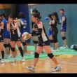 ゴールドスターズ八王子 vs 日本体育大学 (3/6)【撮影画像全見せスライドショー】東京サマーリーグ 2026/7/25
