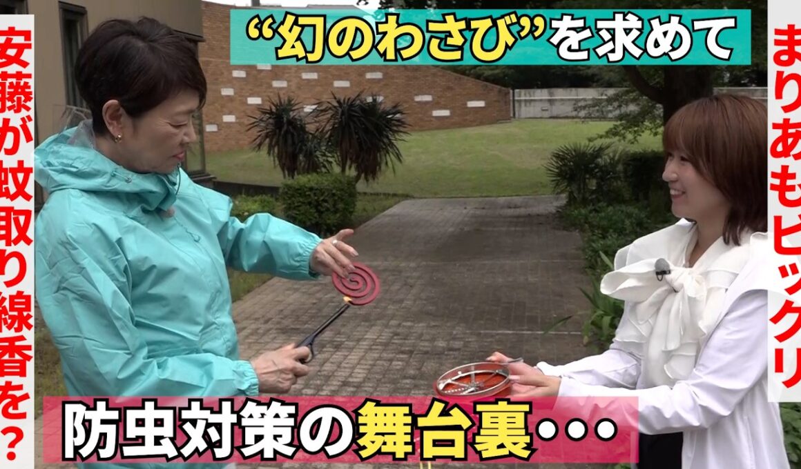 【“幻のわさび”を求めて！】険しい山道に入る直前の舞台裏【学研TV大人カフェ】