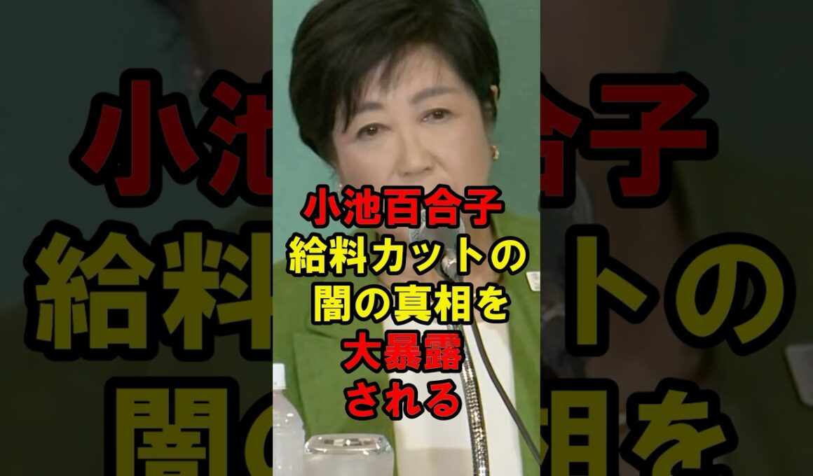 小池百合子　給料カットの闇の真相を大暴露される