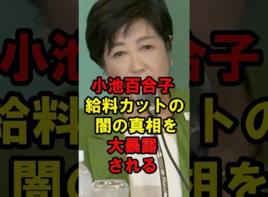 小池百合子　給料カットの闇の真相を大暴露される