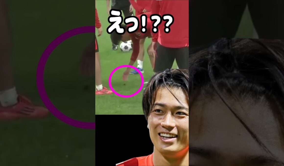 蝶を助けるも脳筋がバレる中村敬斗 #サッカー日本代表 【発掘動画】