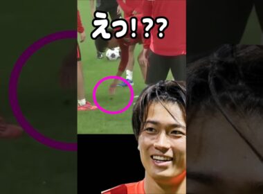 蝶を助けるも脳筋がバレる中村敬斗 #サッカー日本代表 【発掘動画】