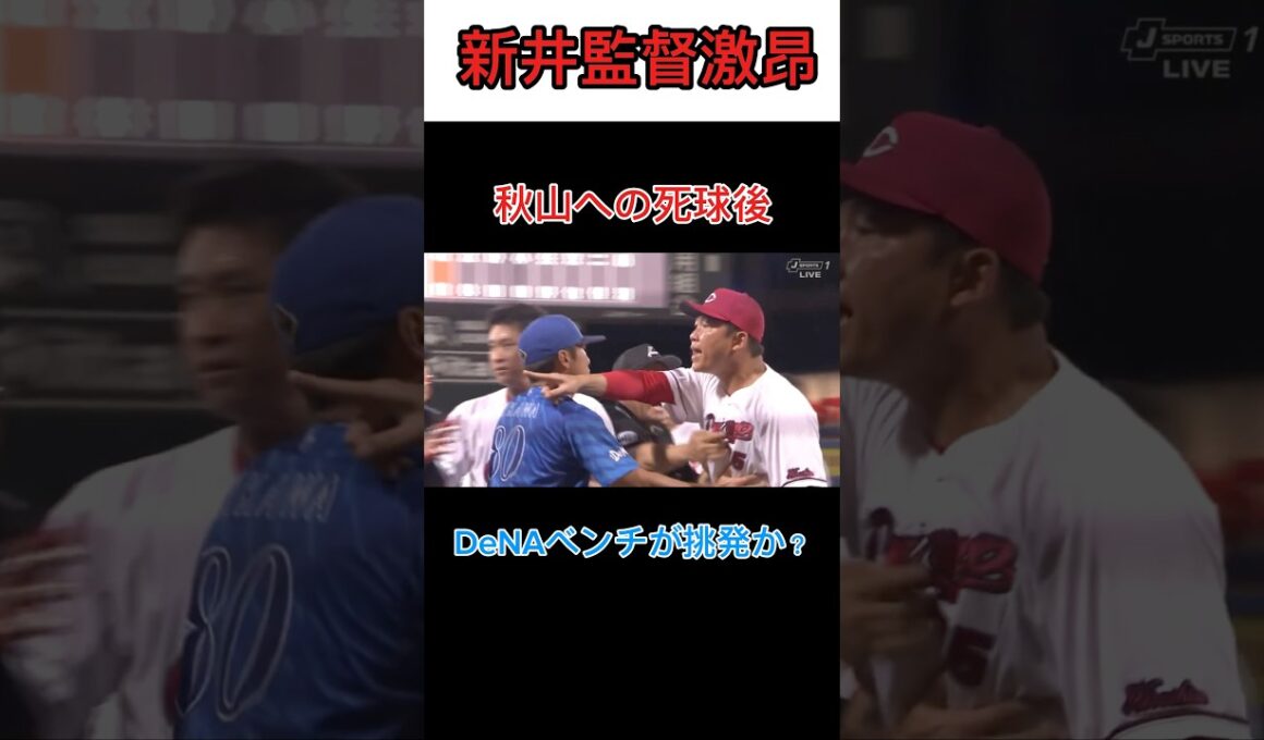 【乱闘】新井監督が珍しく激昂 乱闘に発展 #新井監督 #広島カープ #横浜denaベイスターズ