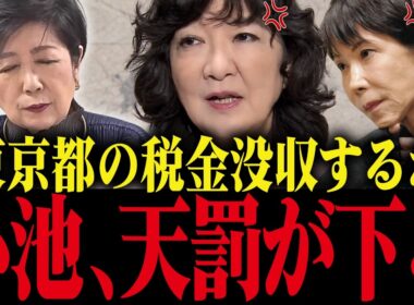 【小池百合子】※片山さつき、遂に小池との会談でブチギレ！小池に天罰が下りました...【さとうさおり 佐藤沙織 小池都知事 都議会 カイロ大学 学歴詐称疑惑】