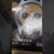 ダメンズ集合！road to 逆玉for佐藤真知子アナ、日テレ　完結編