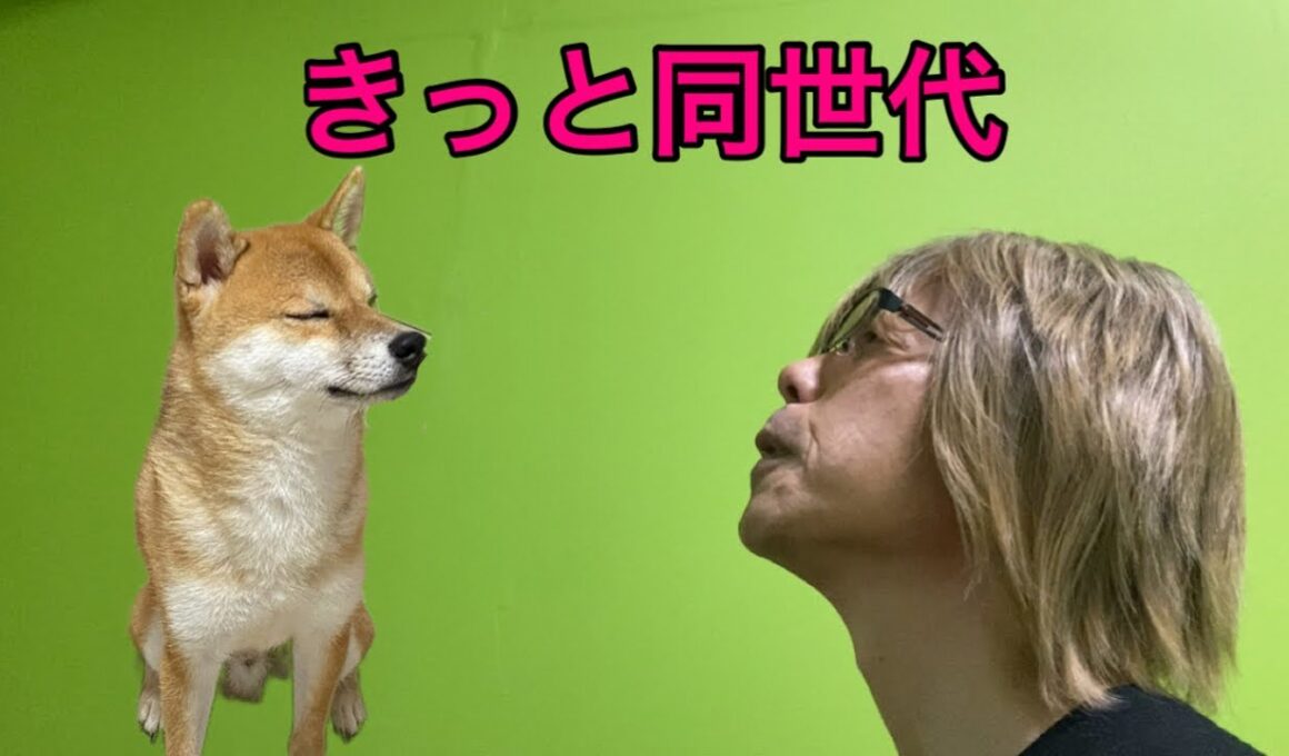 【孤独の56歳】この歌がわかる人きっと同世代「美しき狼たち」歌ってみた