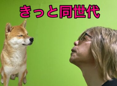 【孤独の56歳】この歌がわかる人きっと同世代「美しき狼たち」歌ってみた