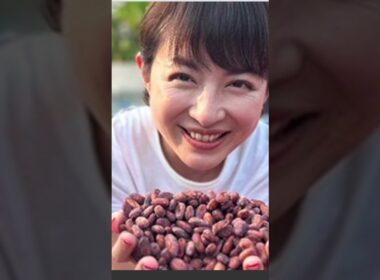 平井理央、タイ・ランパーンでカカオ豆視察　低GI・乳酸菌入りチョコで起業1年の奮闘 #北朝鮮 #巨人 #政治ニュース