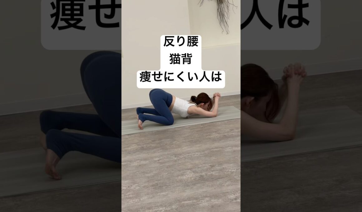 反り腰、猫背、痩せるストレッチ　続けると姿勢と体型がみるみる変わる✨️