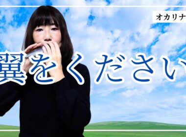 翼をください　オカリナで吹くDuetレパートリー糸より