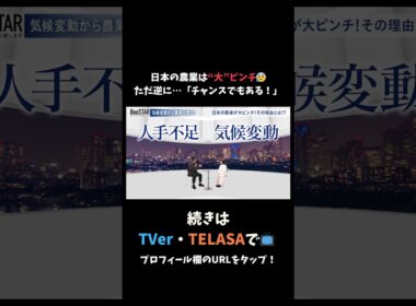 日本の農業は“大”ピンチ😰ただ逆に…「チャンスでもある！」 #スタートアップ #入山章栄 #弘中綾香 #BooSTAR