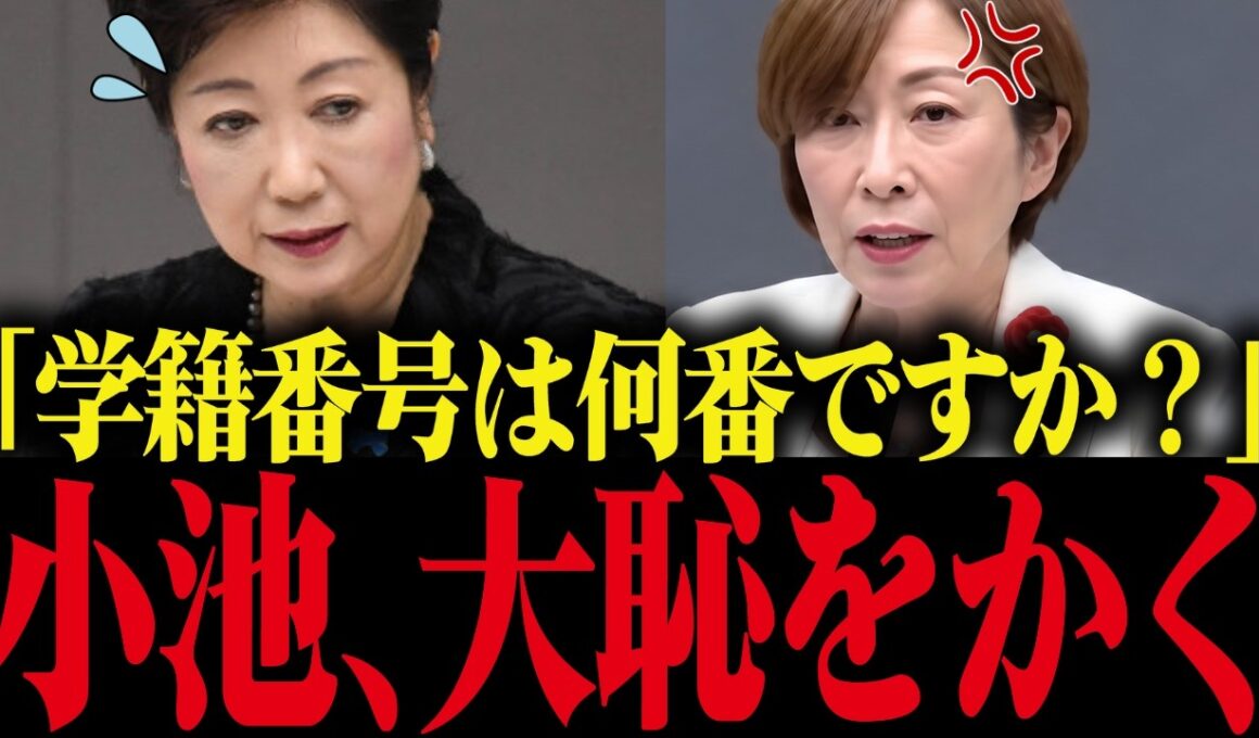 【小池百合子】議会で自身の学歴詐称を追及され小池顔面蒼白...予想外の質問に小池固まる....【小池都知事 さとうさおり 都議会 カイロ大学】