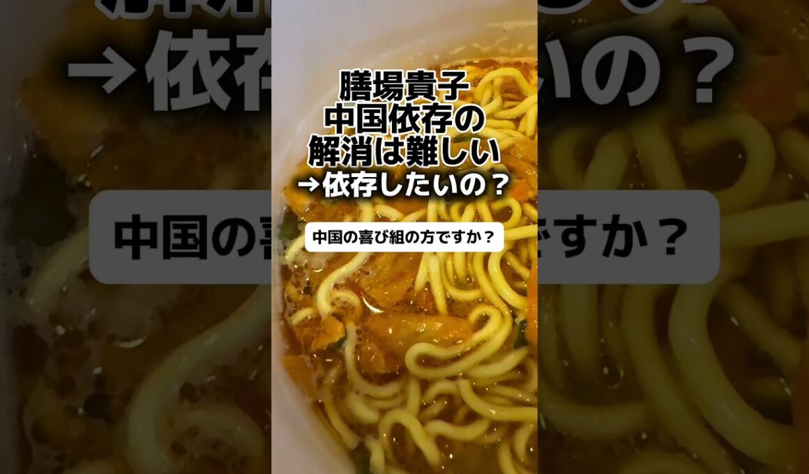膳場貴子「中国依存の解消は難しい」→依存したいの？