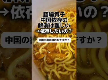 膳場貴子「中国依存の解消は難しい」→依存したいの？