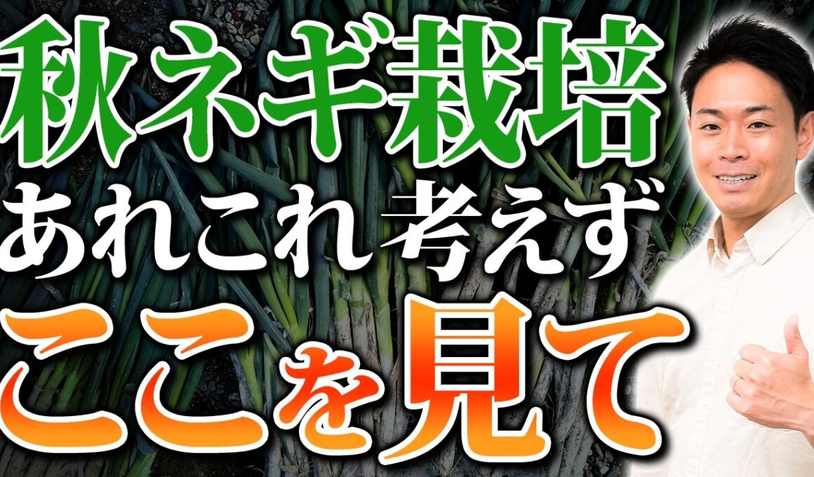 今すぐ見て！勘違いされがちなネギ栽培の真実【家庭菜園 土づくり ガーデニング ネギ栽培】