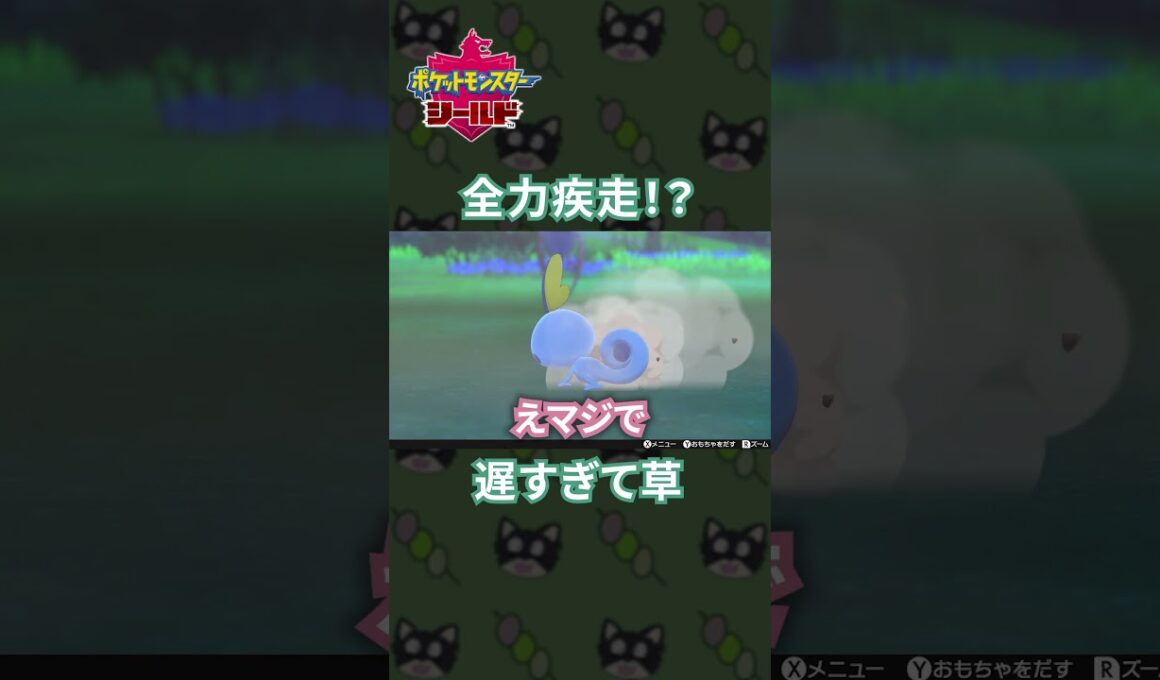 全力疾走なのに遅すぎるメッソンがガチで可愛すぎた[ポケモン剣盾]#shorts