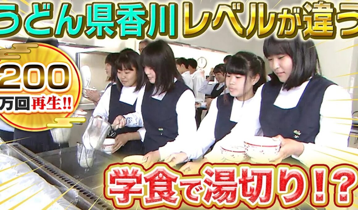 【うどん県 香川】これが本当の讃岐うどん！行列に並んでも食べたい山奥の絶品うどん！【2019年7月11日 放送】